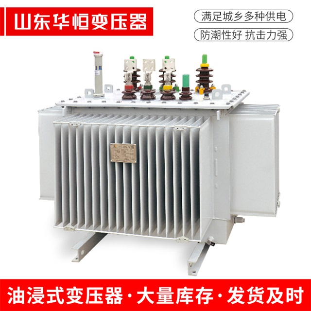 S13-10000/35永平永平永平电力变压器